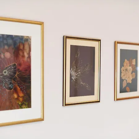 Appartement Freddy *