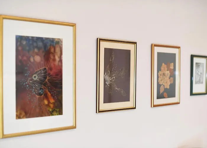 Apartamento Freddy *